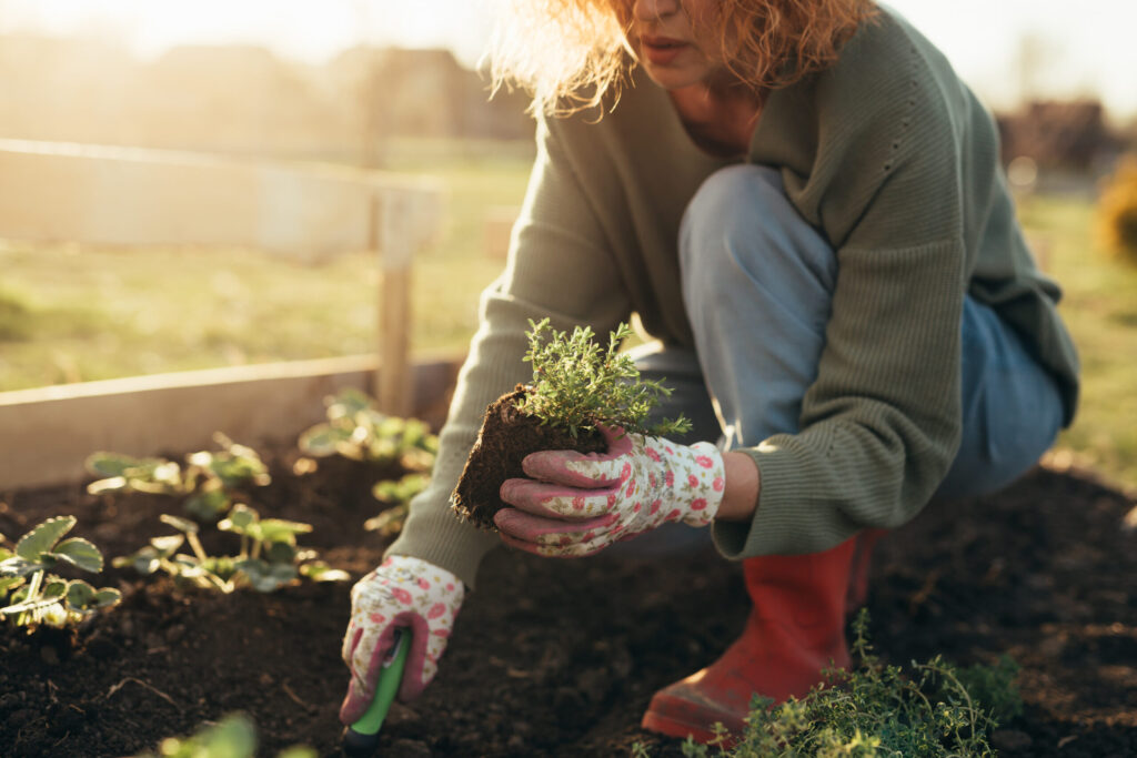 woman kneeling in a flower bed planting new plants. She is wearing red boots and floral gloves.